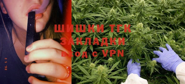 ГАЛЛЮЦИНОГЕННЫЕ ГРИБЫ Пестово