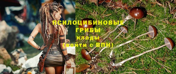 мдма Белокуриха