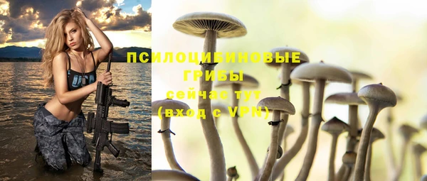 стаф Беломорск